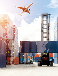 業務簡介 業務簡介